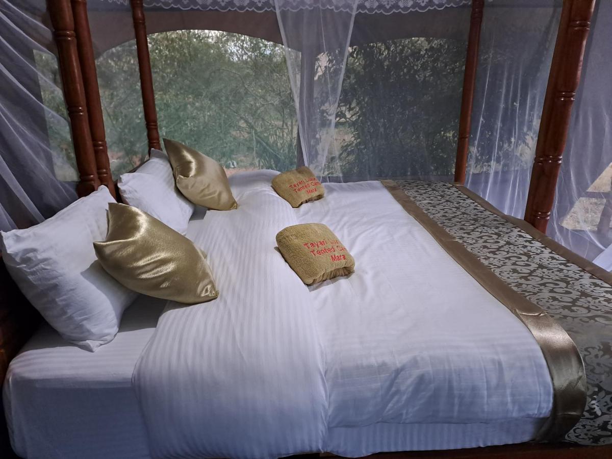 Hotel Tayari Luxury Tented Camp - Mara Sekenani Exterior foto